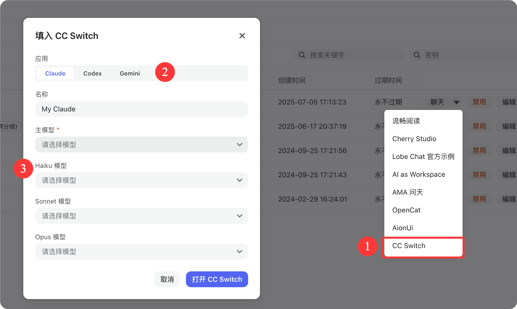 从令牌管理页打开 CC Switch 配置入口