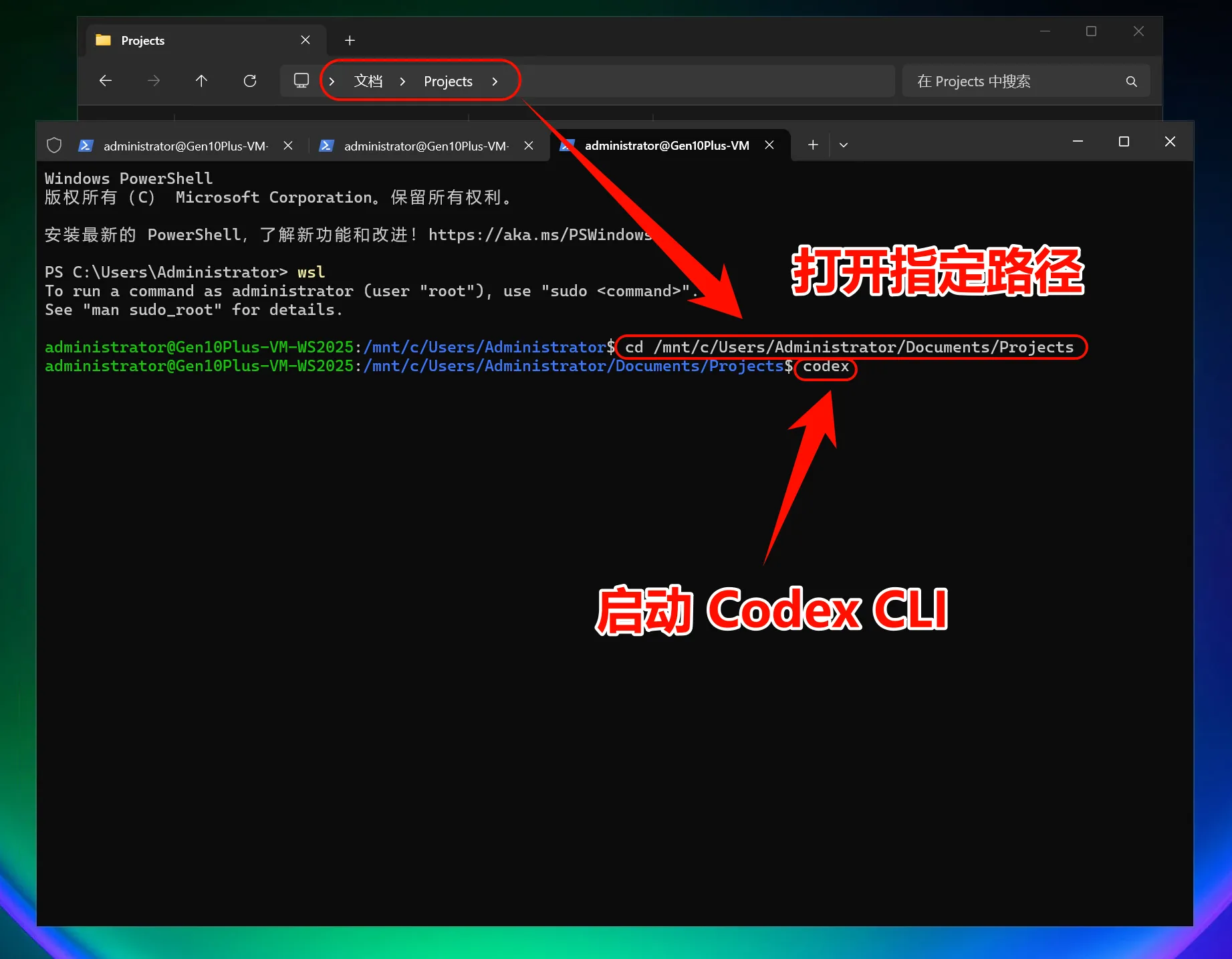 Windows 在 WSL 项目目录启动 Codex