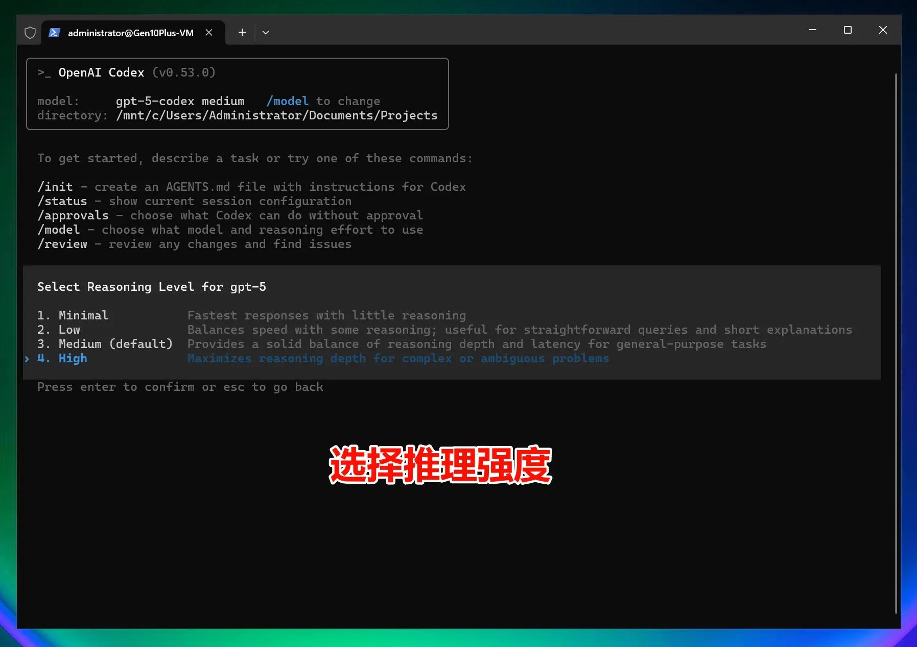 Windows 查看 Codex 模型列表
