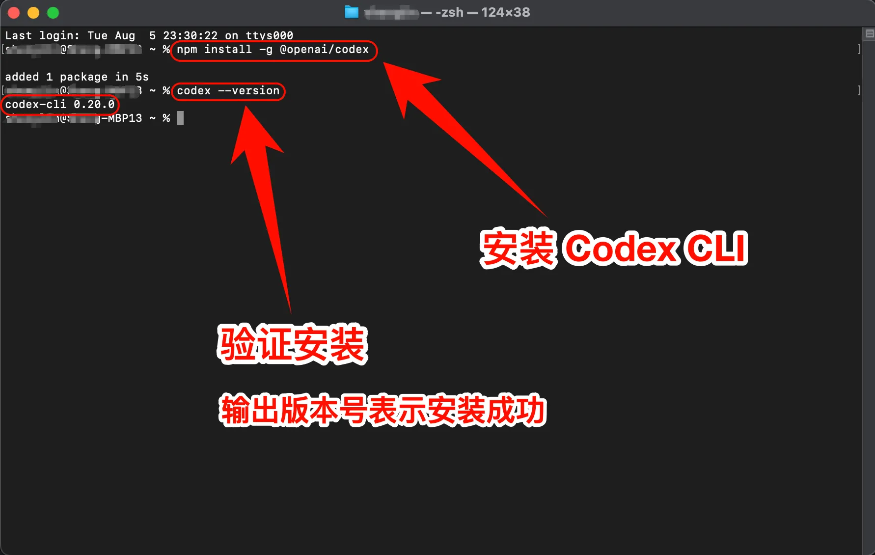 macOS 安装 Codex CLI