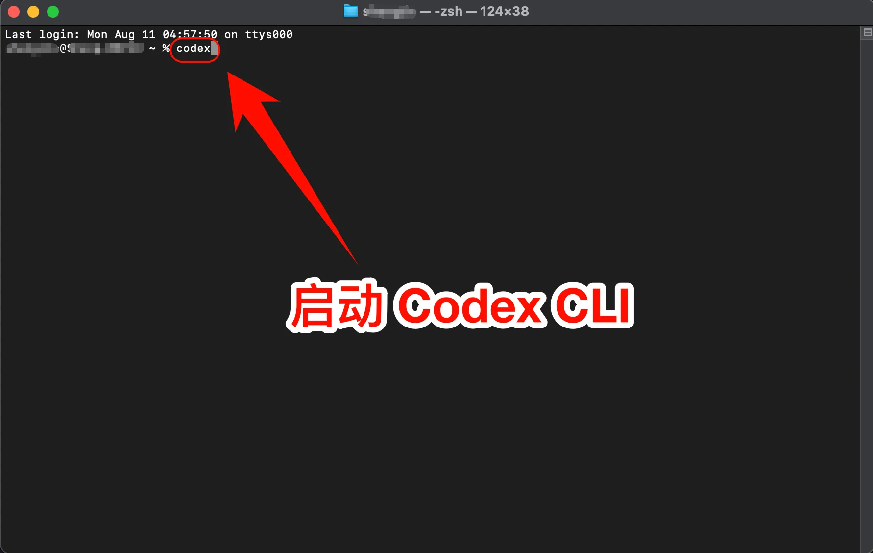 macOS 启动 Codex CLI
