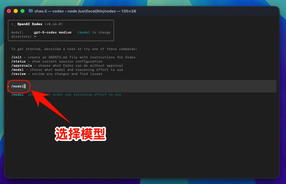 macOS 选择 Codex 权限模式