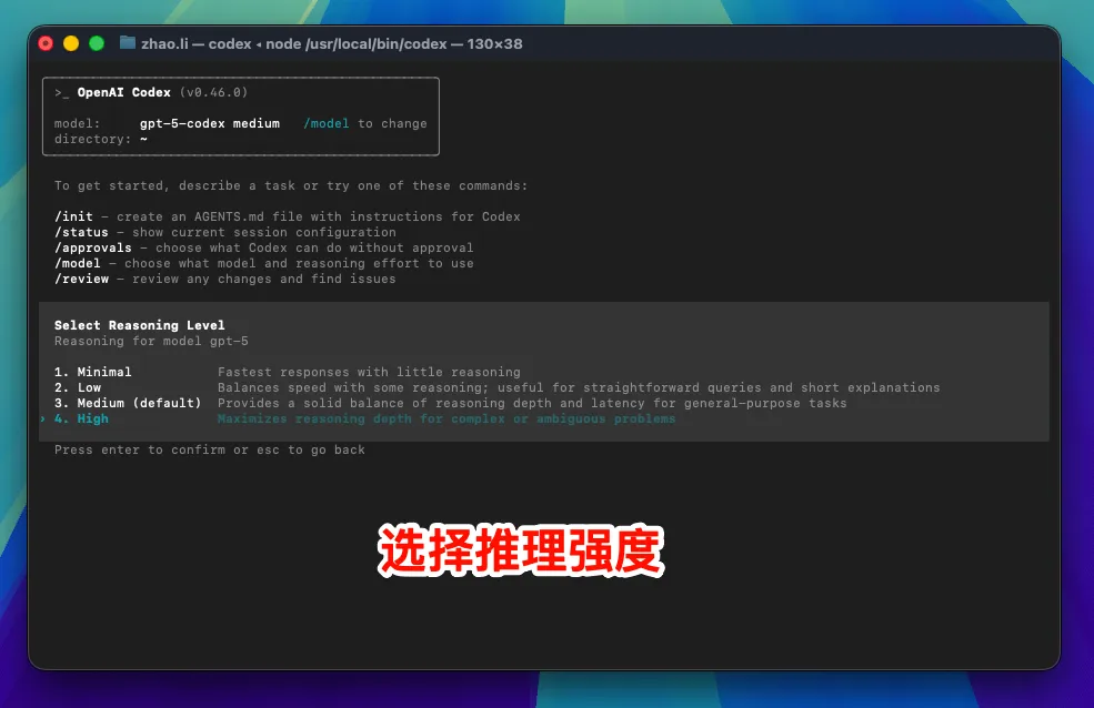 macOS 查看 Codex 模型列表