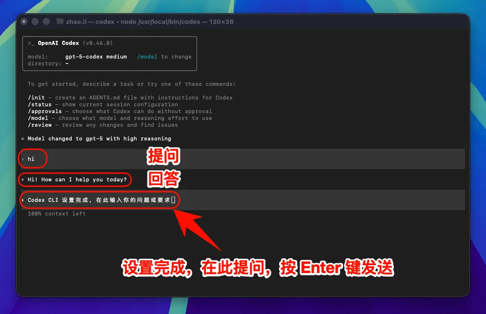 macOS 完成 Codex CLI 测试