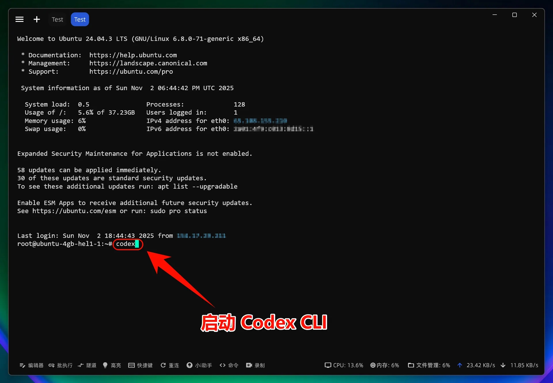 Linux 启动 Codex CLI