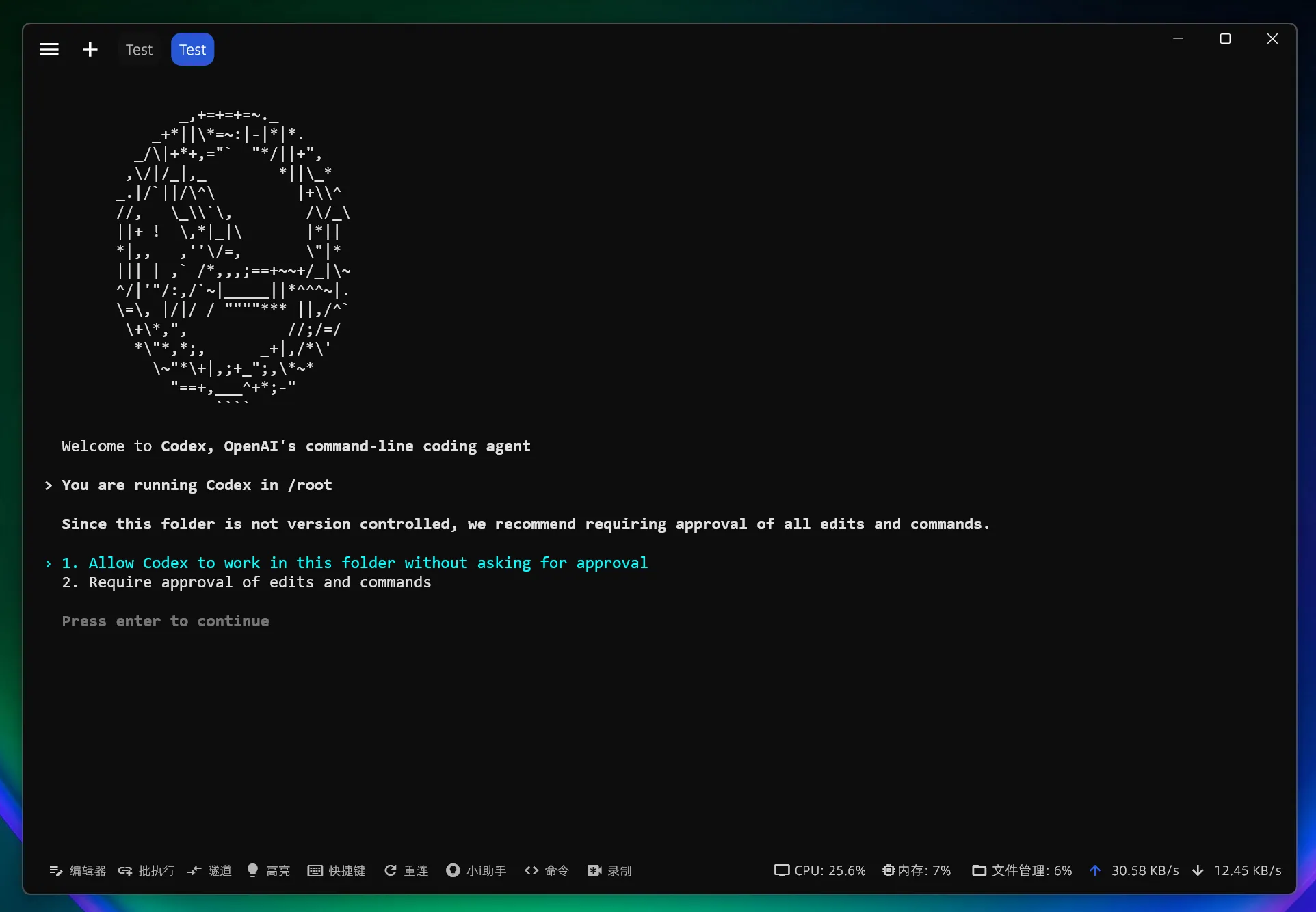 Linux 确认 Codex 工作区
