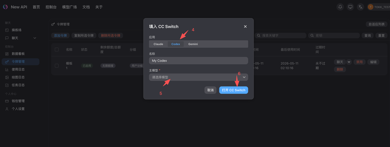选择 Codex 和模型后打开 CC Switch
